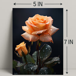 Dew-Kissed Rose Poster PosterGoat