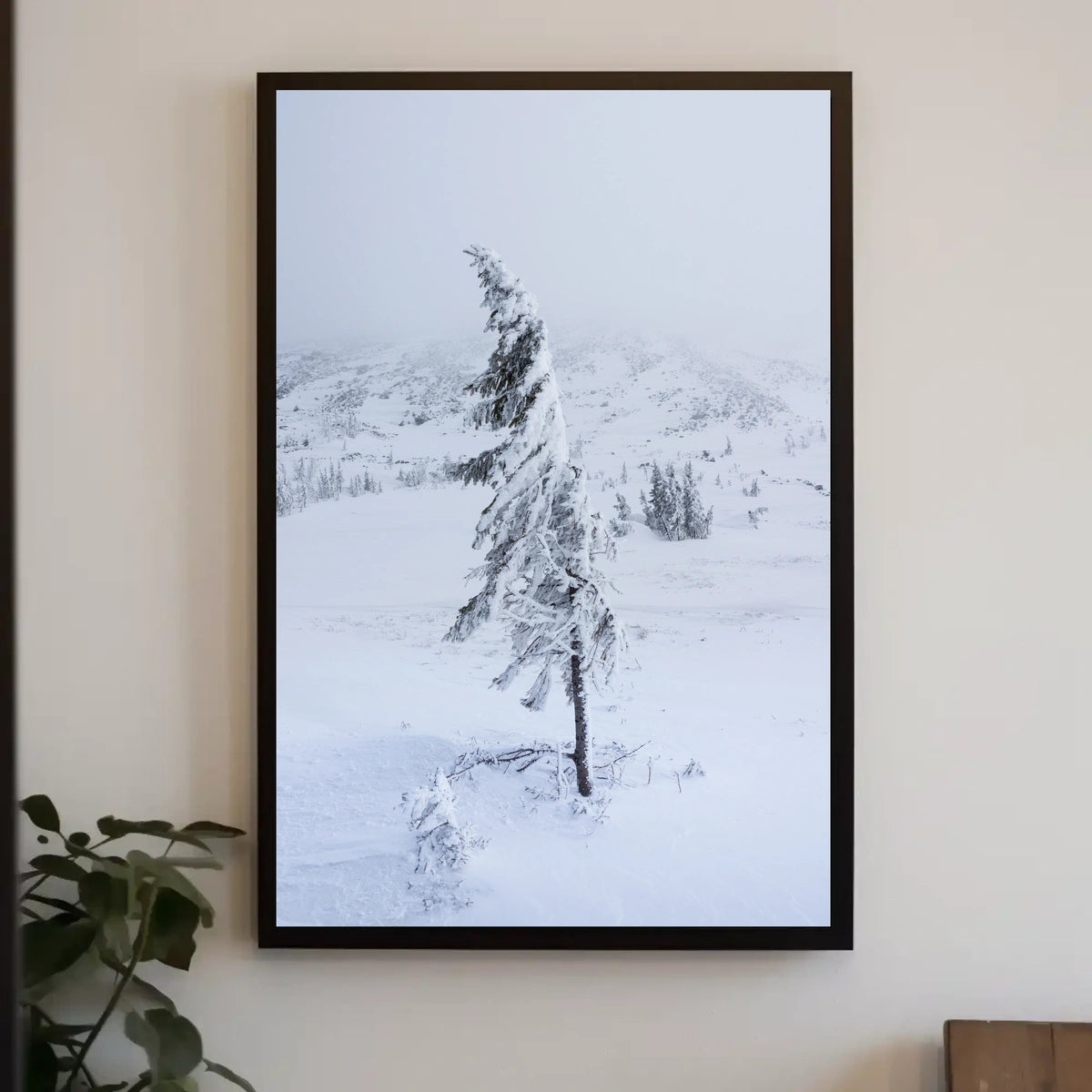 Solitary Snow-Covered Tree Poster