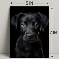 Portrait Of A Black Labrador Puppy Poster PosterGoat