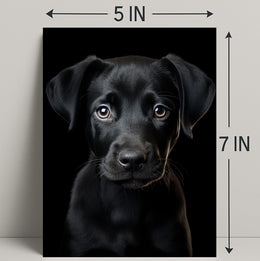 Portrait Of A Black Labrador Puppy Poster PosterGoat