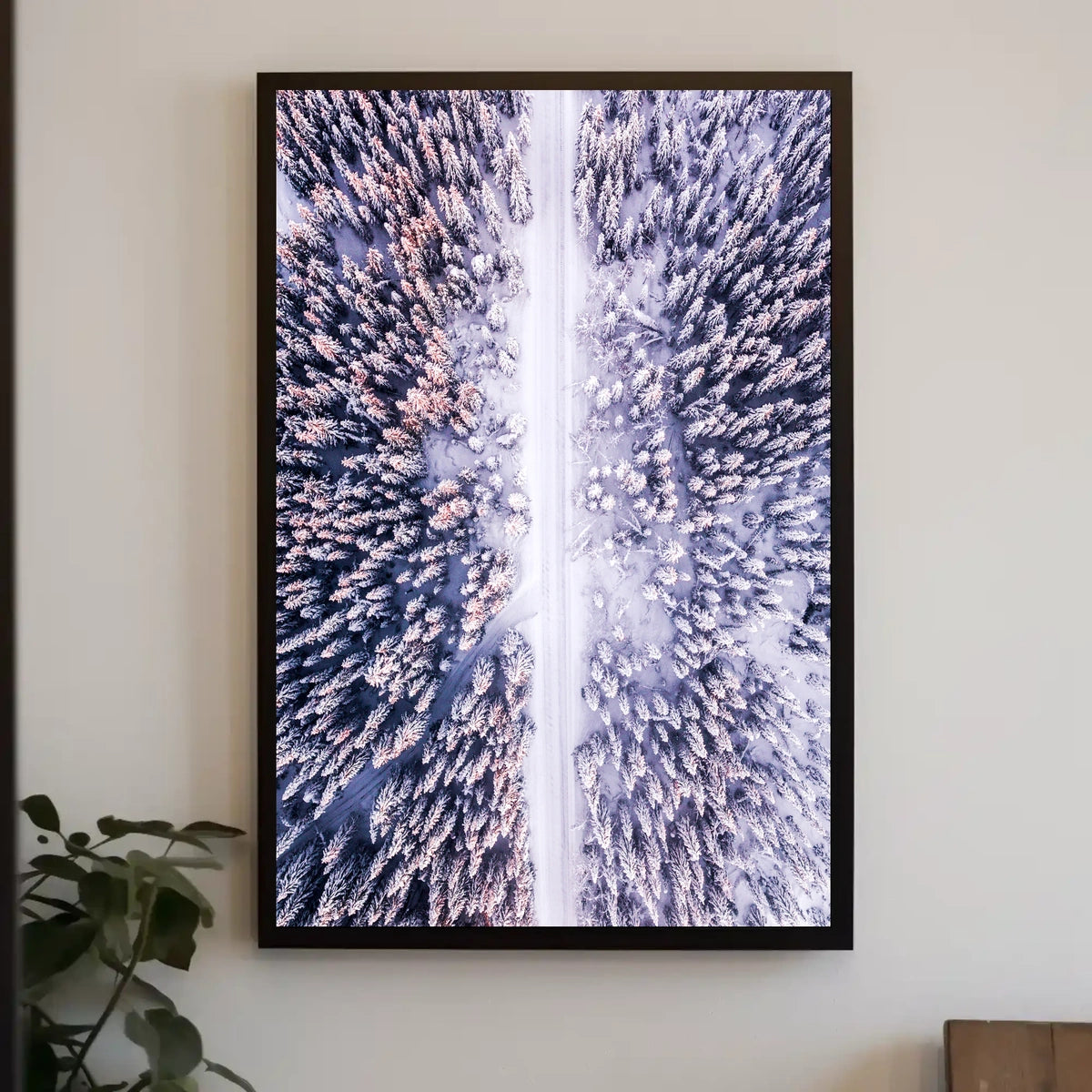 Winter Wonderland Aerial View Poster
