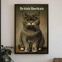 British Shorthair Cat Photography Realism Artwork Poster