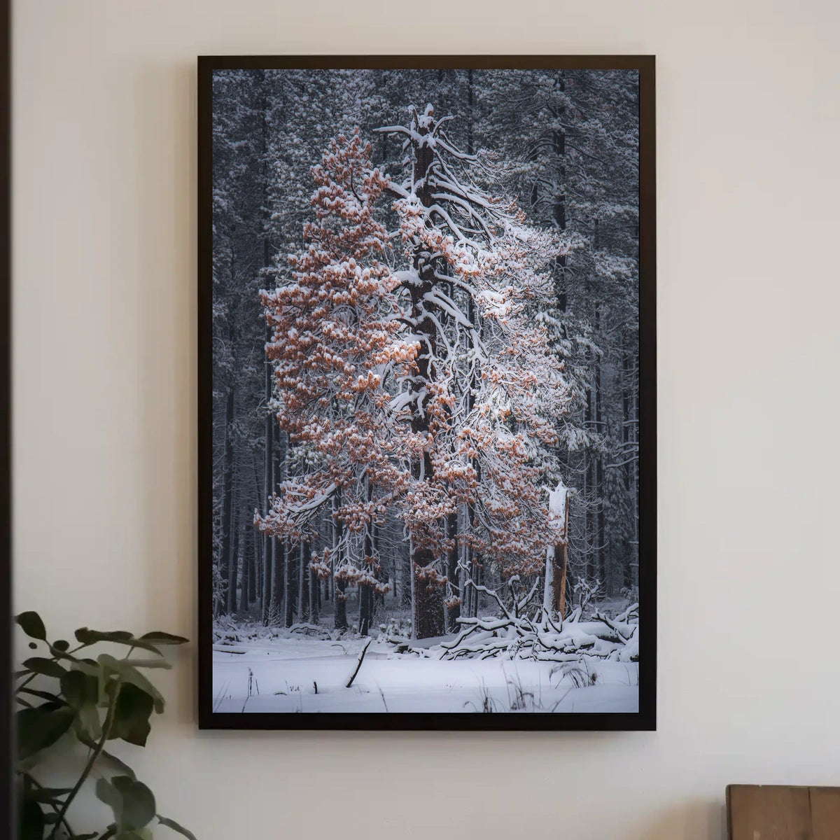 WinterS Embrace Poster