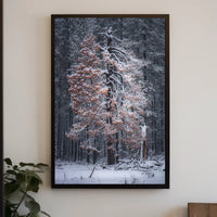 WinterS Embrace Poster