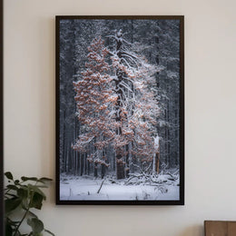 WinterS Embrace Poster