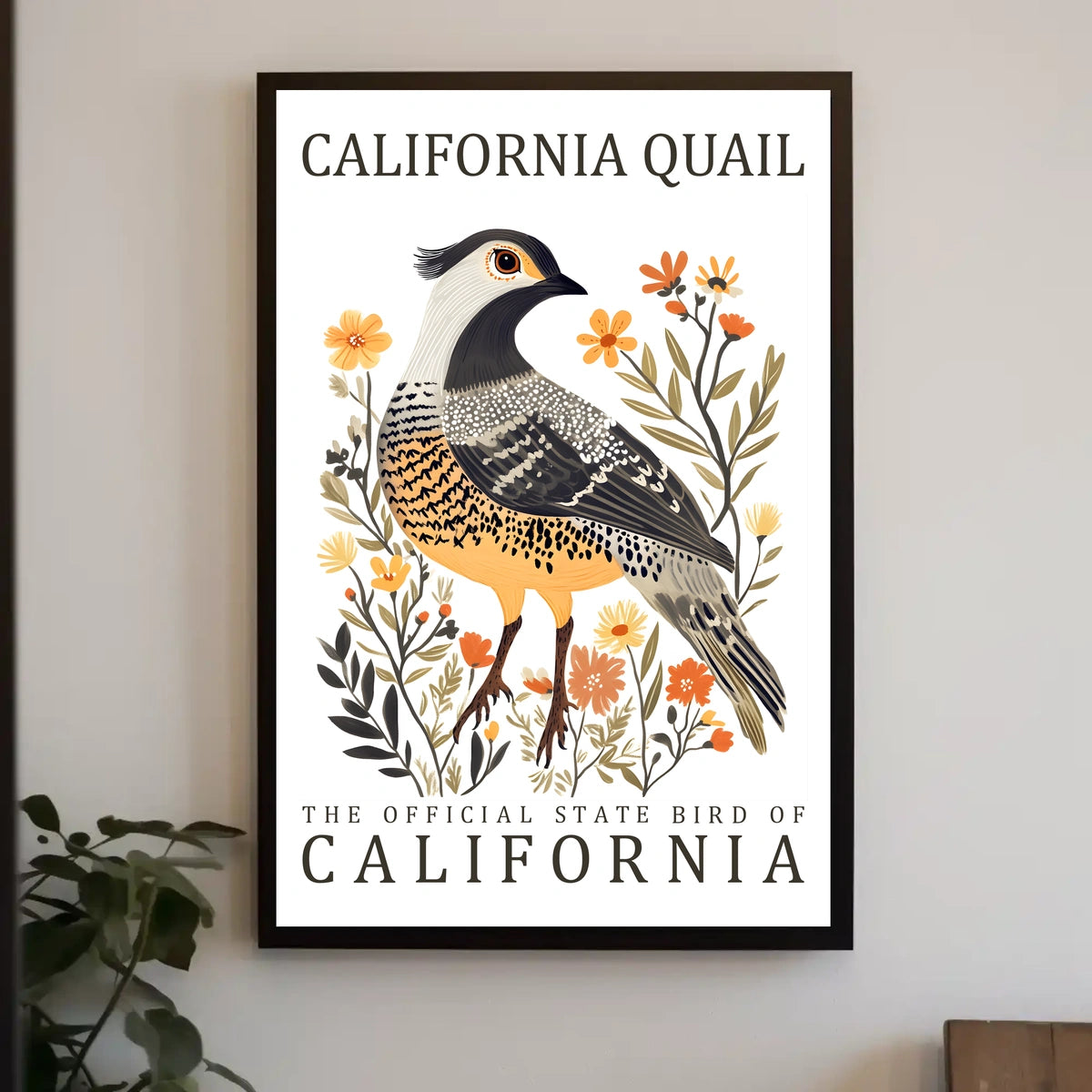 California Quail Art Poster: Celebrate State Pride