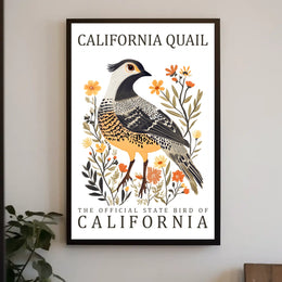 California Quail Art Poster: Celebrate State Pride