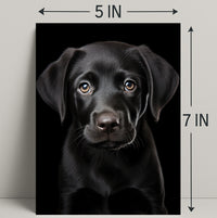 Portrait Of A Black Labrador Puppy Poster