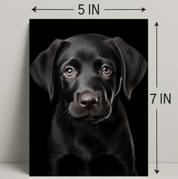 Portrait Of A Black Labrador Puppy Poster