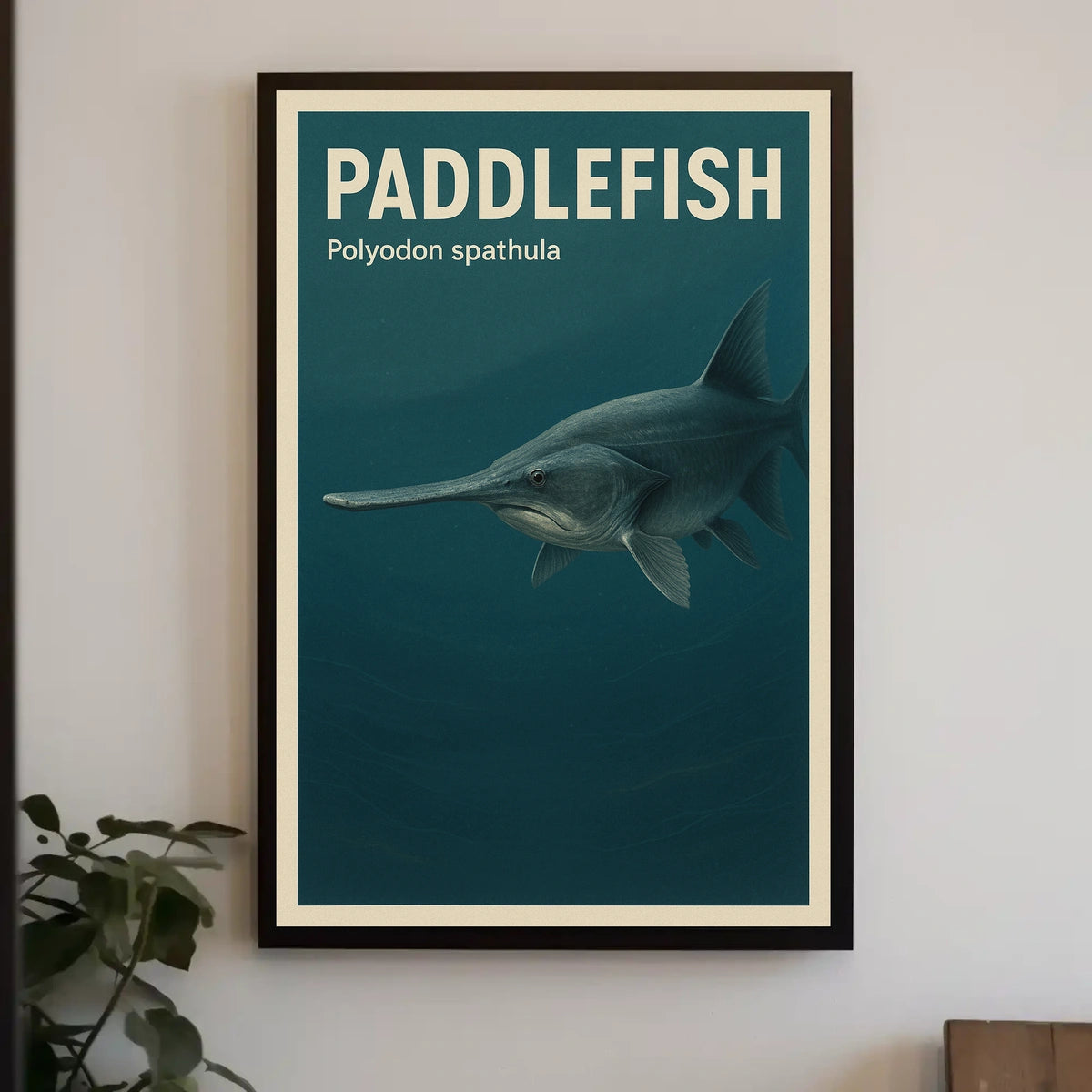 Paddlefish Polyodon spathula Poster