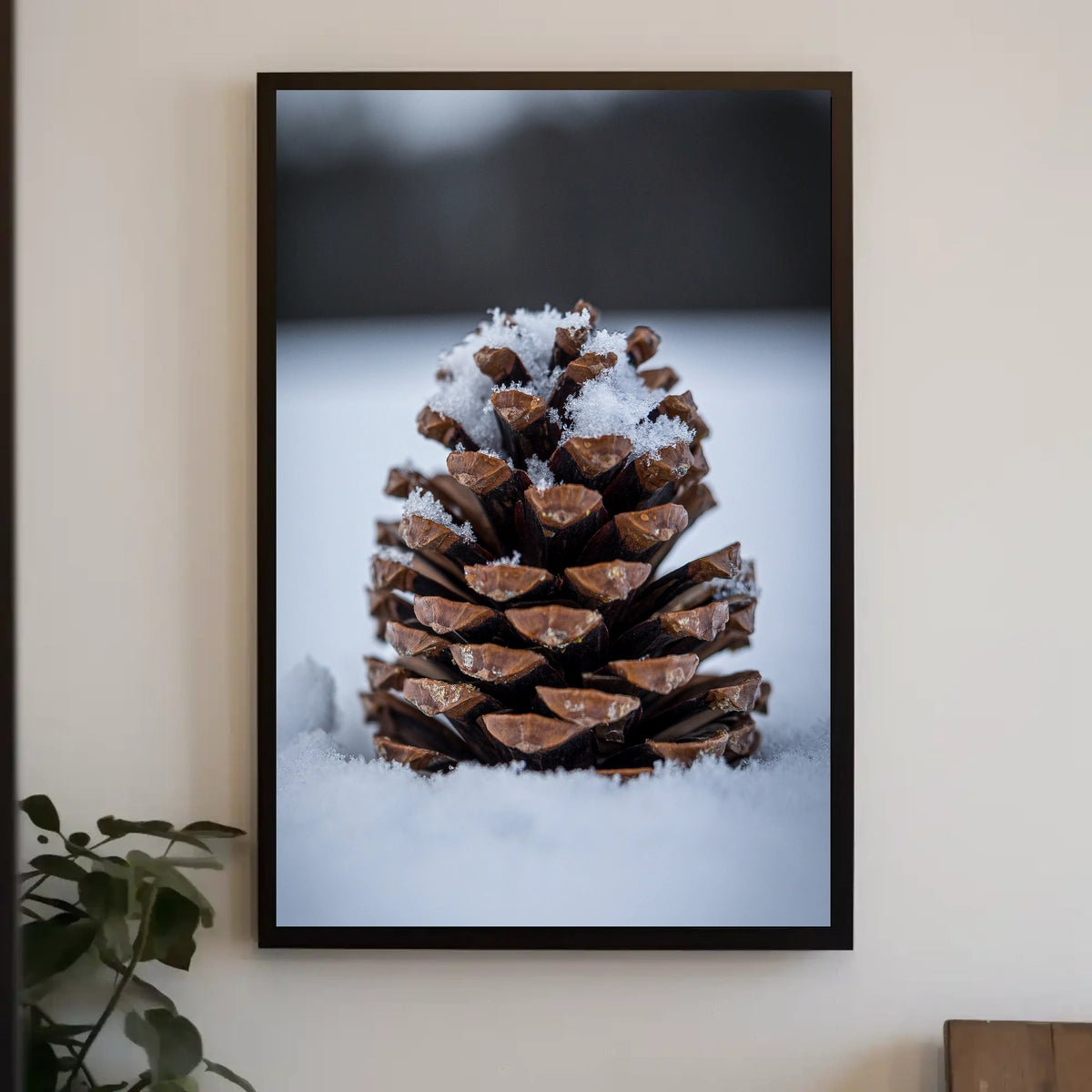 Winter Pinecone Poster
