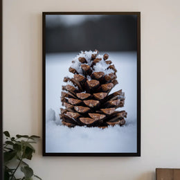 Winter Pinecone Poster