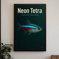 Neon Tetra Paracheirodon Innesi Poster