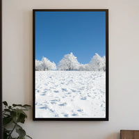 Winter Tranquility: Nature's Beauty in National Park Poster