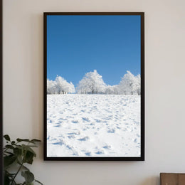 Winter Tranquility: Nature's Beauty in National Park Poster