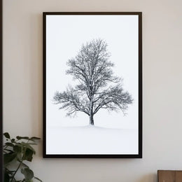 Solitary Winter Tree Poster