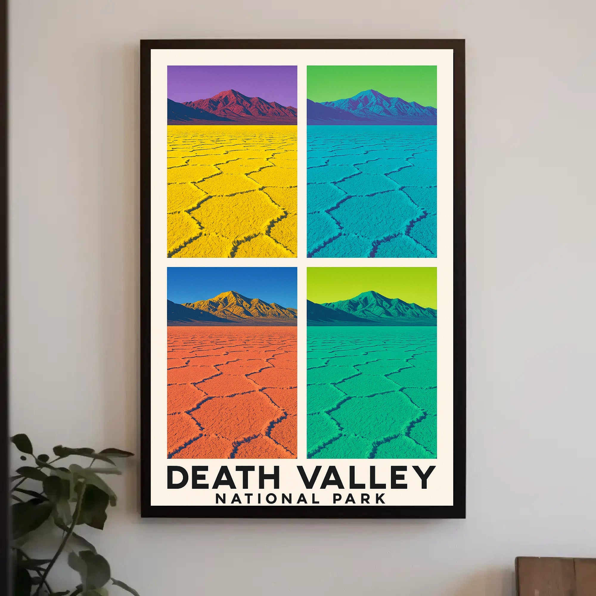 Death Valley National Park Poster