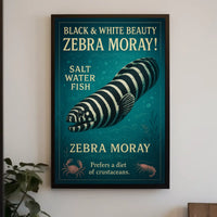 Zebra Moray Vintage Art Animal Poster