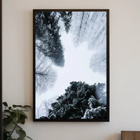 Winter Canopy Poster