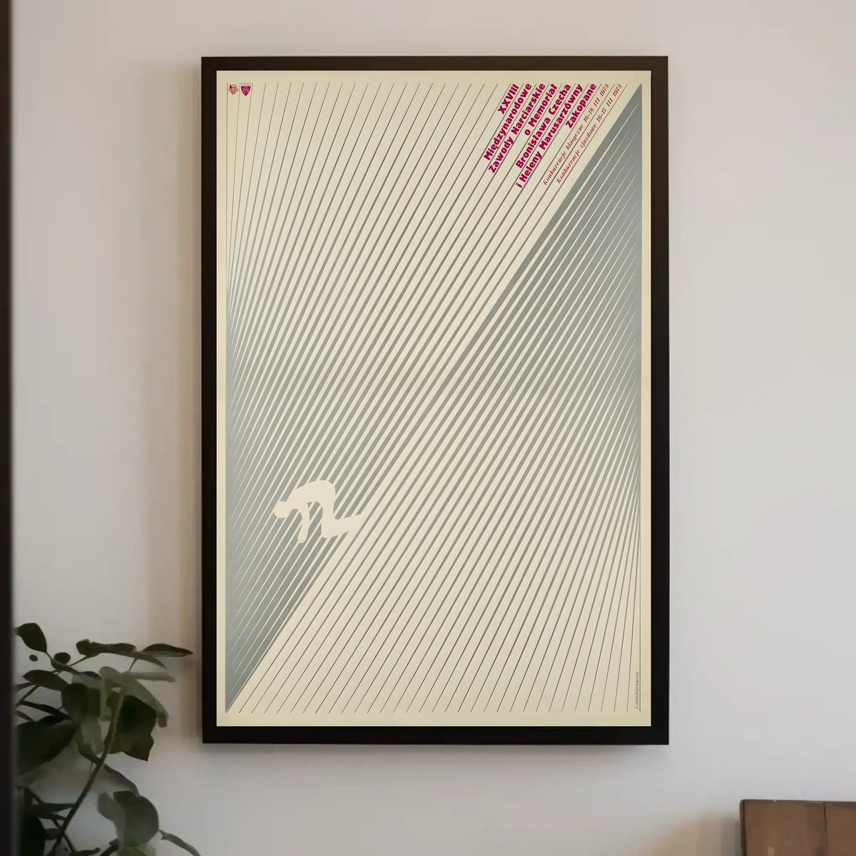 Xxviii Międzynarodowe Zawody Narciarskie Poster