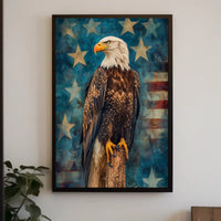 peaceful bald eagle Poster
