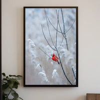 Winter Cardinal Poster