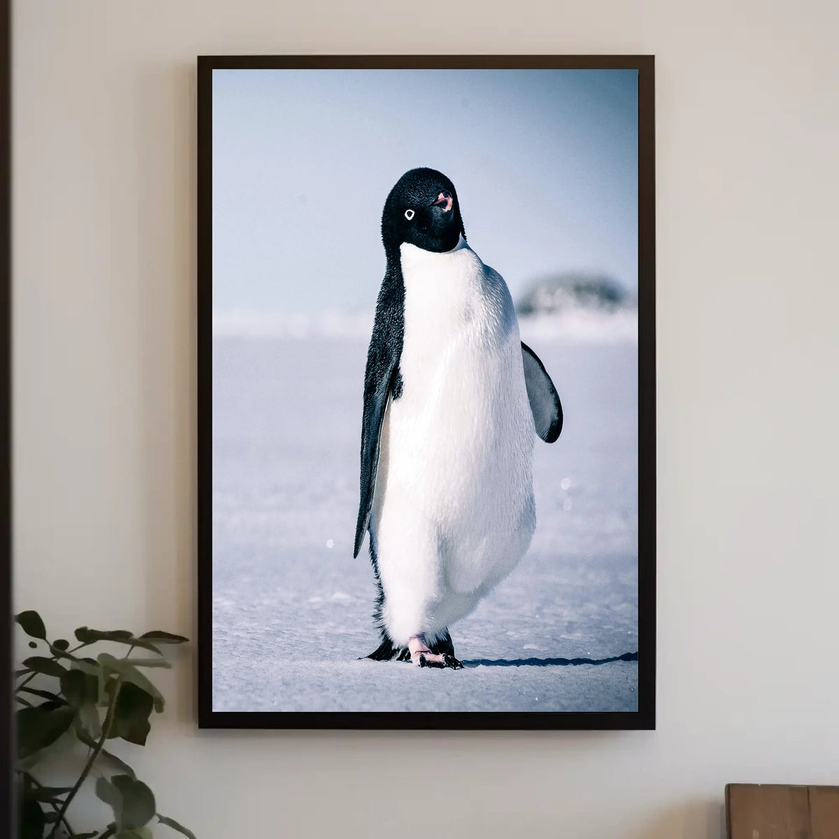 Curious Penguin Portrait Poster