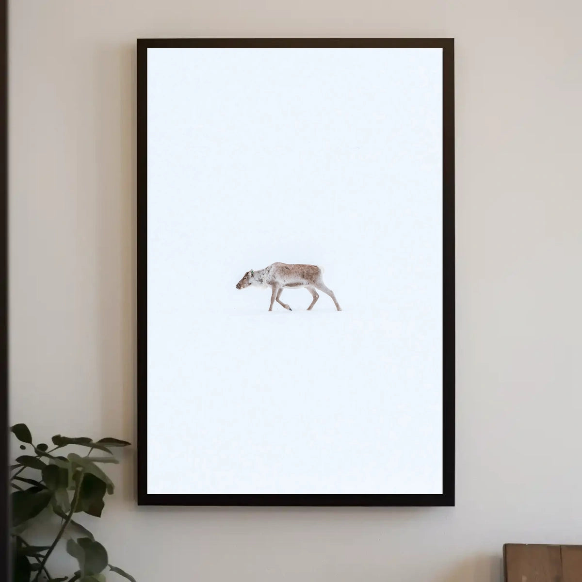 Solitary Reindeer In Snow Poster