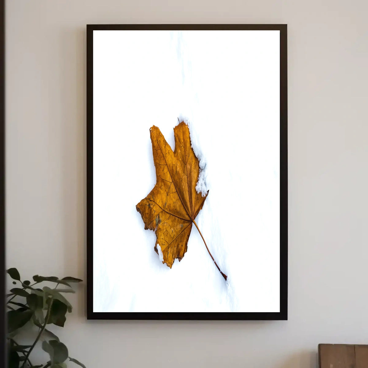 AutumnS Contrast Poster