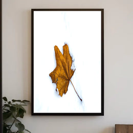 AutumnS Contrast Poster