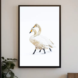 Serene Winter Swans Minimalist Art Poster