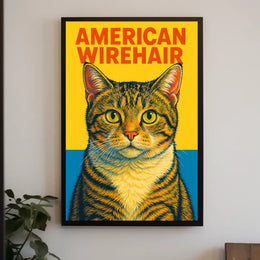 American Wirehair Cat Poster