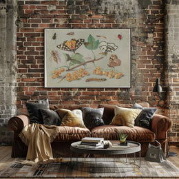 Insect and Foliage Vintage Botanical Illustration Educational Poster