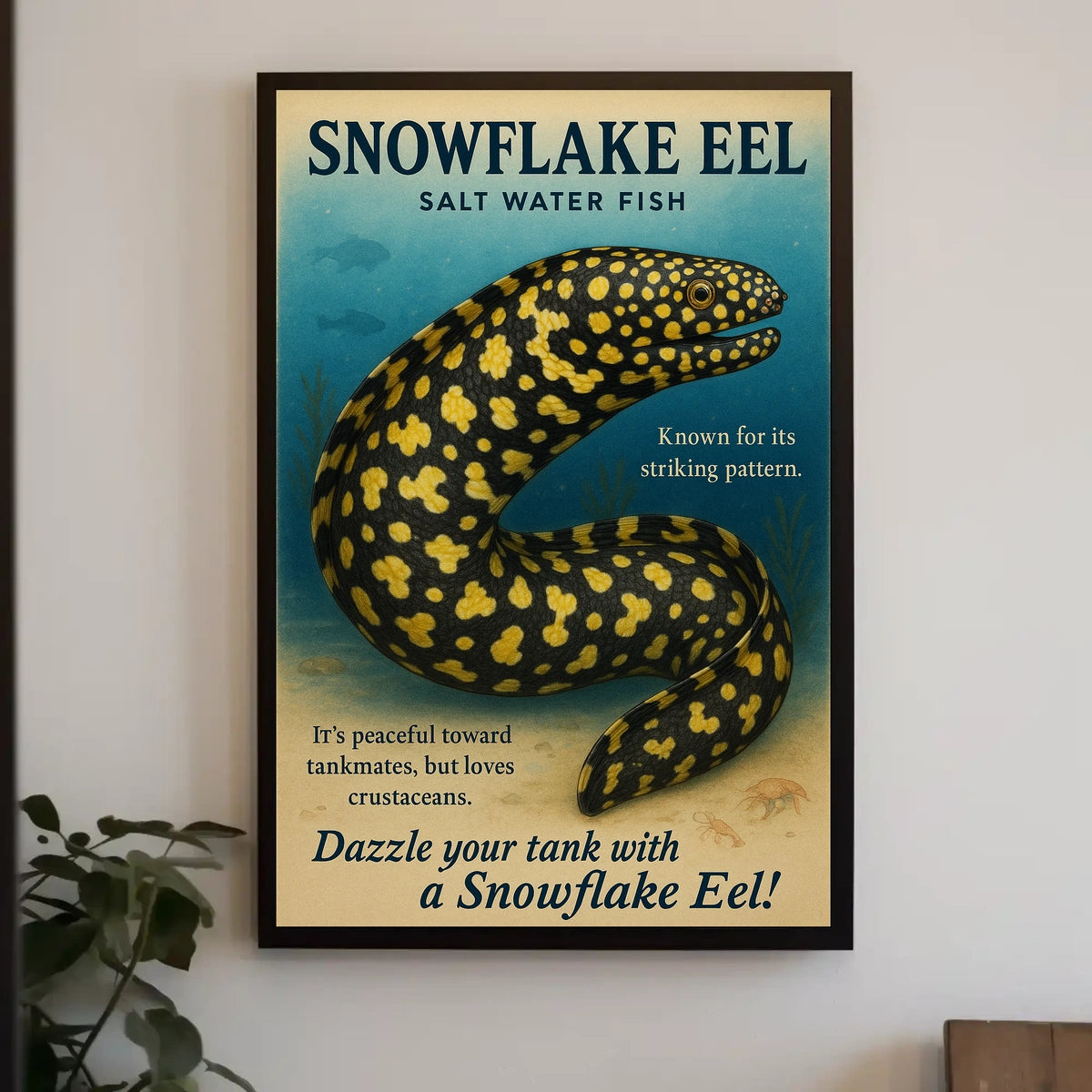 Snowflake Eel Saltwater Fish Poster