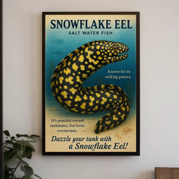 Snowflake Eel Saltwater Fish Poster