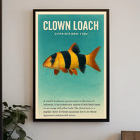 Clown Loach Cypriniform Fish Poster
