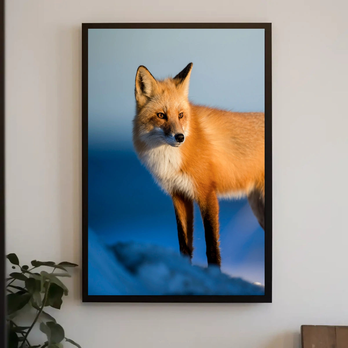 Majestic Fox In The Wild Poster