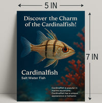 Discover the Charm of the Cardinalfish Poster PosterGoat