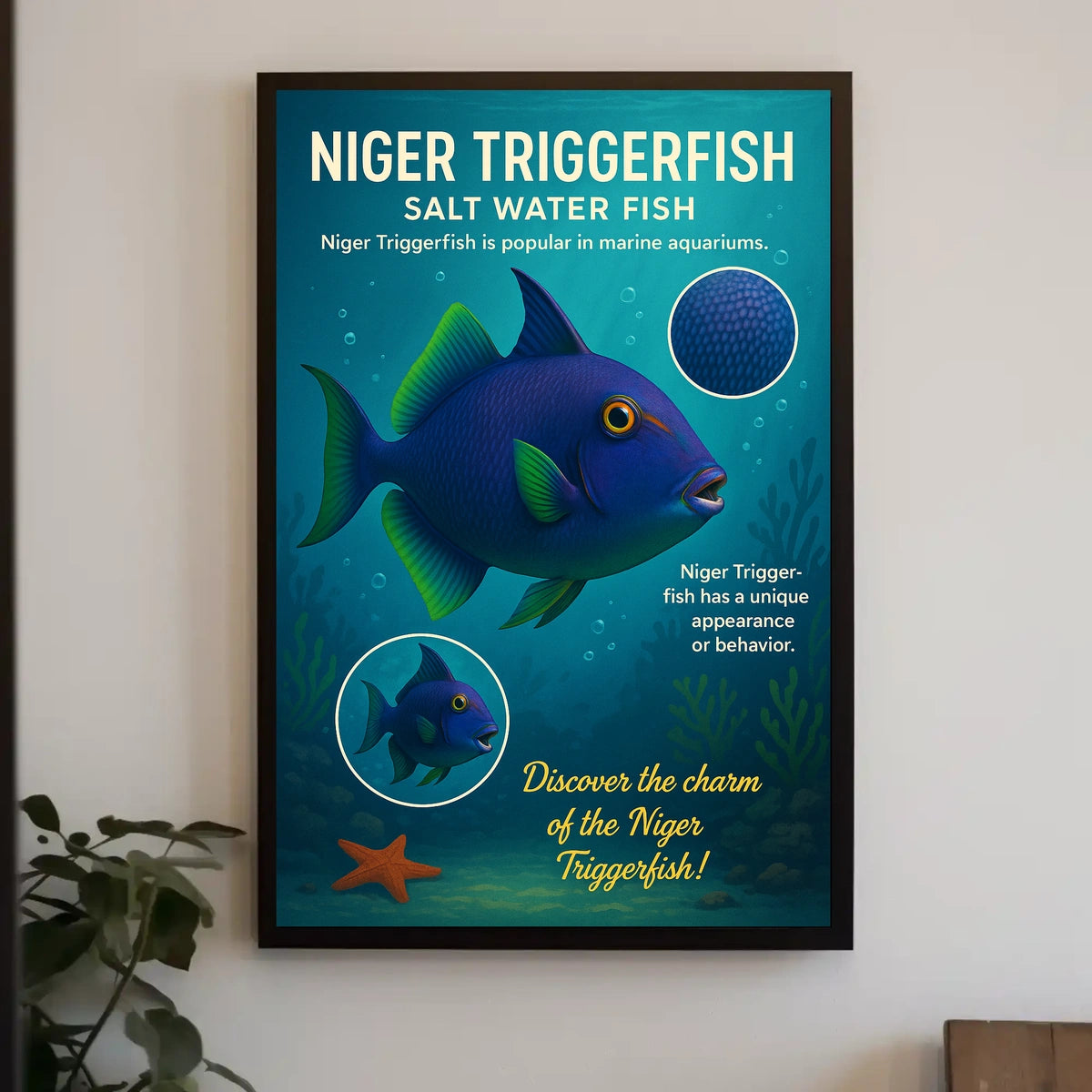 Discover the Niger Triggerfish Poster