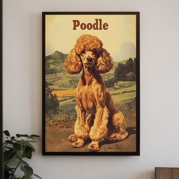 Poodle Portrait Poster