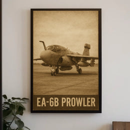 EA-6B Prowler Poster
