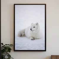 Serene Arctic Fox Tranquility Animal Poster
