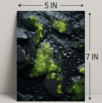 NatureS Textures Poster