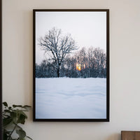 Winter Serenity Poster