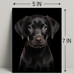 Portrait Of A Black Labrador Puppy Poster PosterGoat