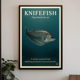 Knifefish The Nocturnal Swimmer Poster