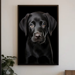Portrait Of A Black Labrador Puppy Poster