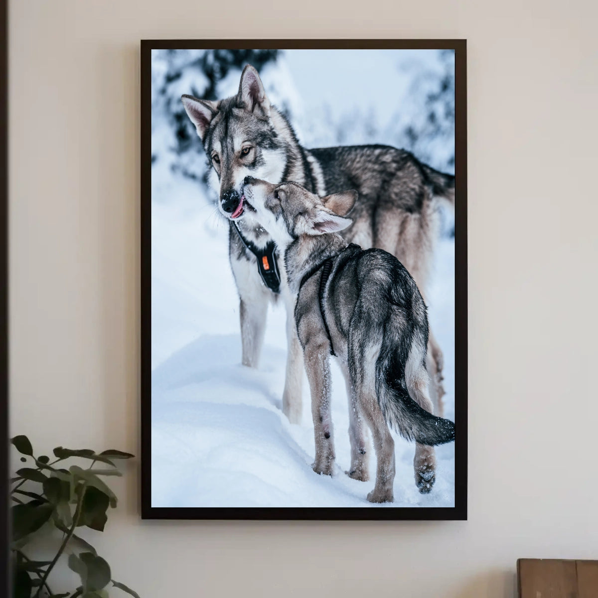 Winter Perch Poster