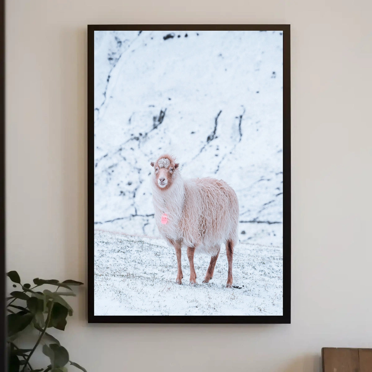 Winter Serenity A Lone Sheep Poster
