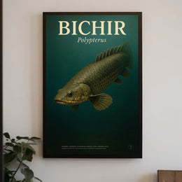 Bichir Polypterus Poster